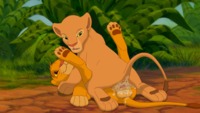 the lion king porn data show cub cum pussy inside disney feline fema