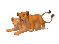 the lion king porn cec abecf nala simba lion king