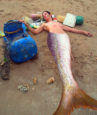 mermaid porn mermaid study page