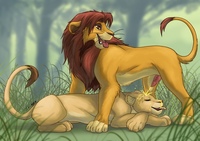 lion king porn nala cnrhi nala simba lion king