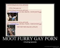 gay furry porn moot furry gay porn page